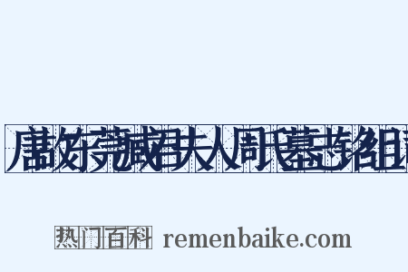 唐故东莞臧君夫人周氏墓志铭组词是什么意思的图片